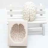 Brain mold