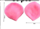 Leaf Venier Mold