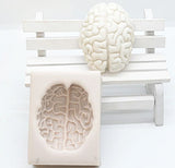 Brain mold