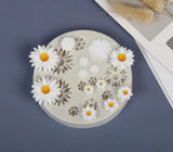 Daisy Flower Mold