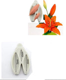 Tulip Mold